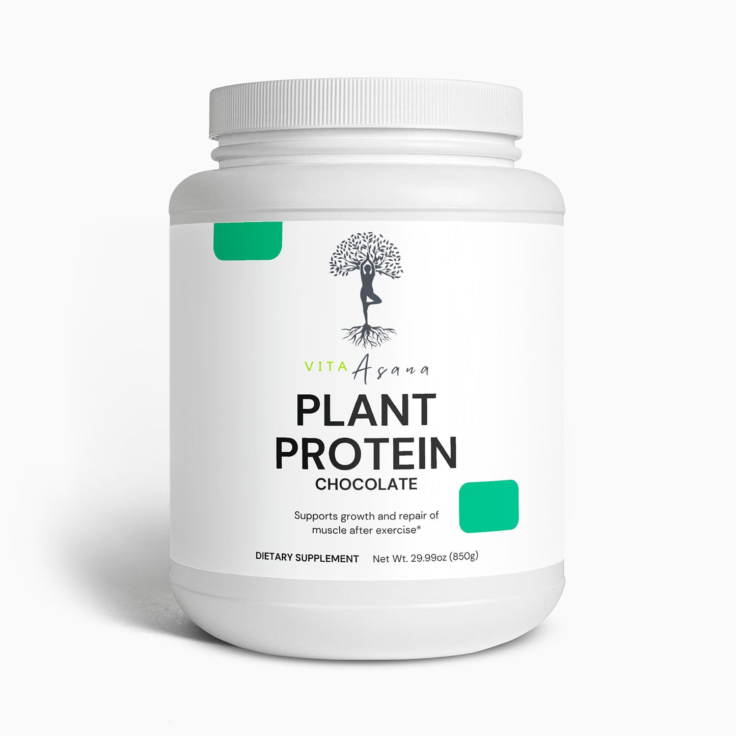 Plant Protein (Chocolate)