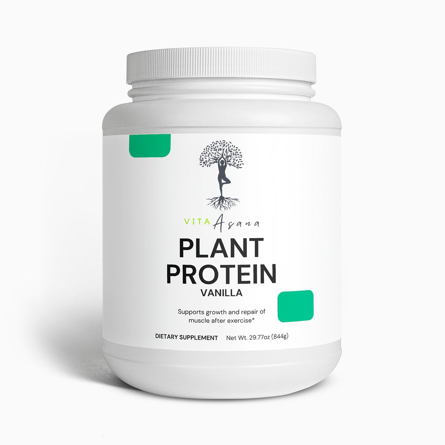 Plant Protein (Vanilla)