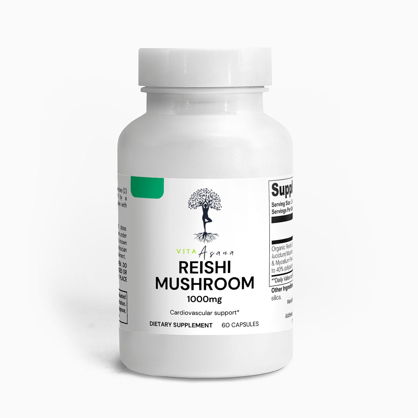 Reishi Mushroom