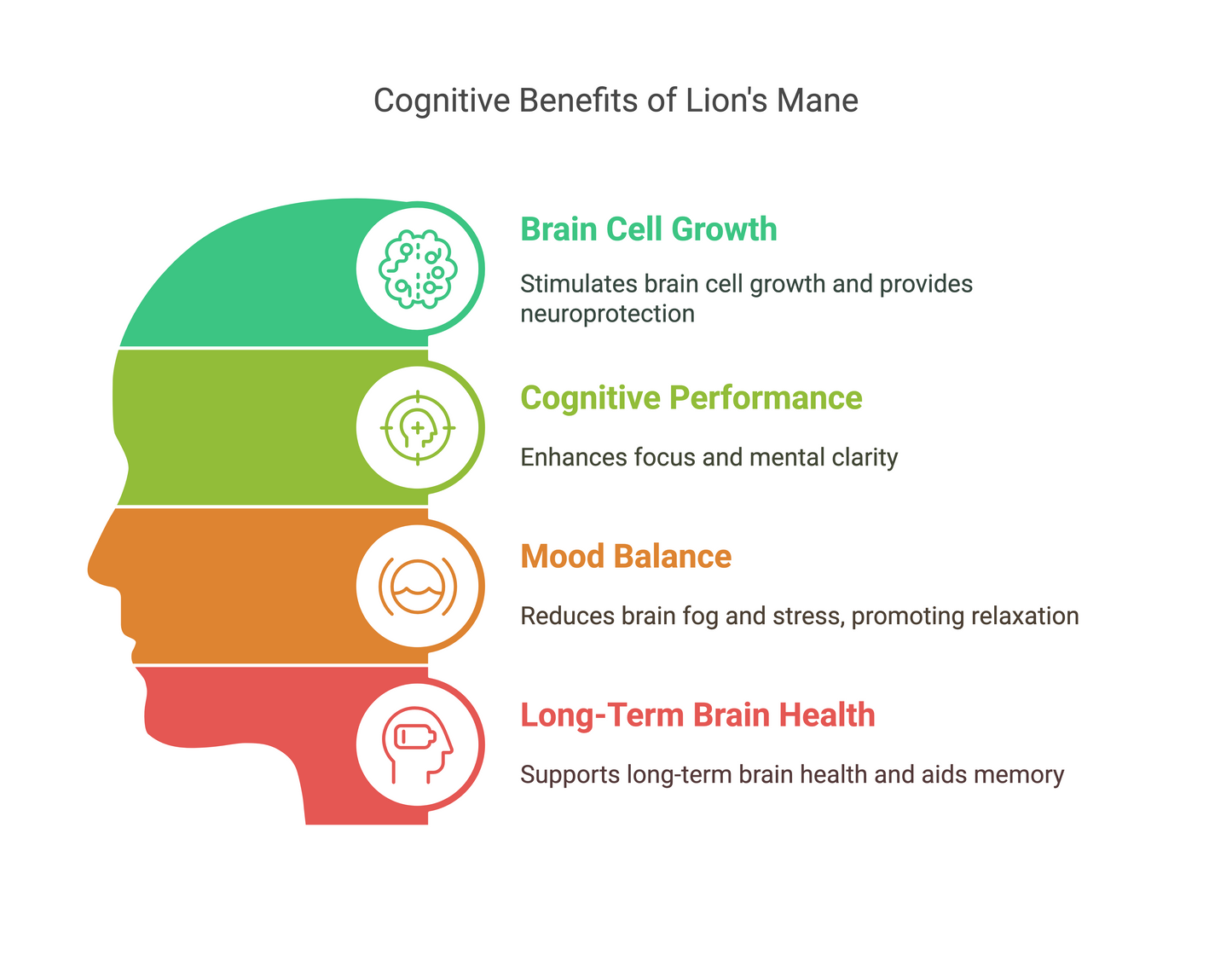 Lion’s Mane Mushroom Capsules | Brain Health | Focus & Memory Support | Cognitive Function | Natural Nootropic | Mental Clarity | Vita Asana