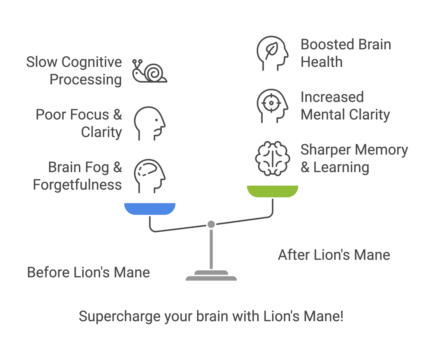 Lion’s Mane Mushroom Capsules | Brain Health | Focus & Memory Support | Cognitive Function | Natural Nootropic | Mental Clarity | Vita Asana