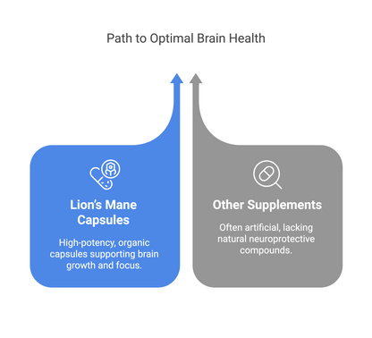 Lion’s Mane Mushroom Capsules | Brain Health | Focus & Memory Support | Cognitive Function | Natural Nootropic | Mental Clarity | Vita Asana