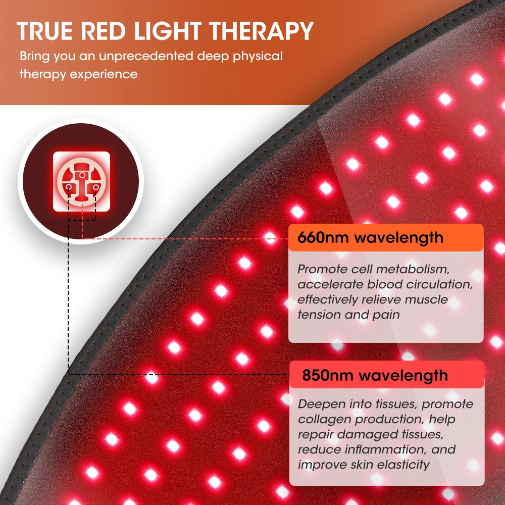 Red Light Therapy Waist Belt – 660nm & 850nm Support