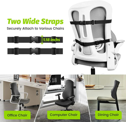 Ergonomic Lumbar Support Pillow | Memory Foam Back Cushion for Office Chair & Posture Support