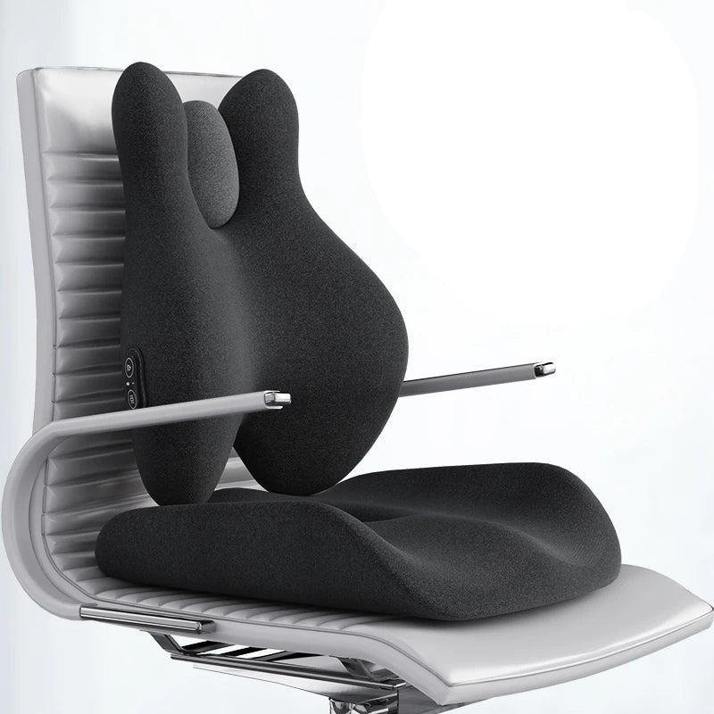 Lumbar Support Pillow for Office Chair | Memory Foam Back Support Cushion with Heat and Vibration | Car and Seat Support